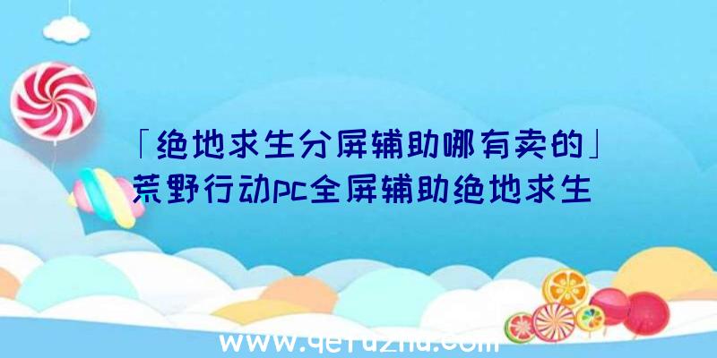 「绝地求生分屏辅助哪有卖的」|荒野行动pc全屏辅助绝地求生